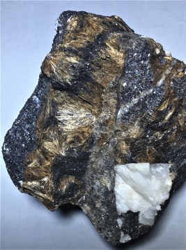 inesite-566gm-c